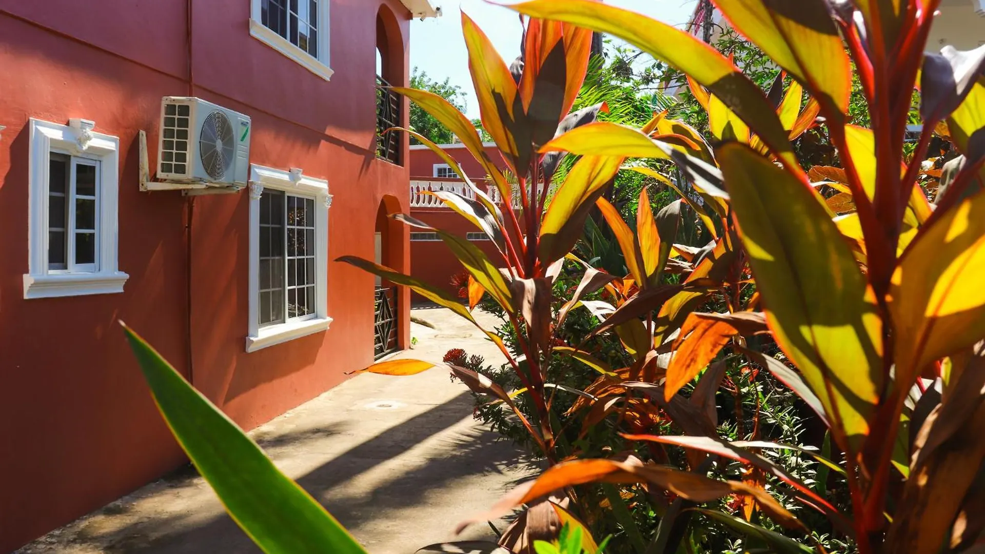 ***  Paradise On The Rocks Hotel Negril Jamaïque